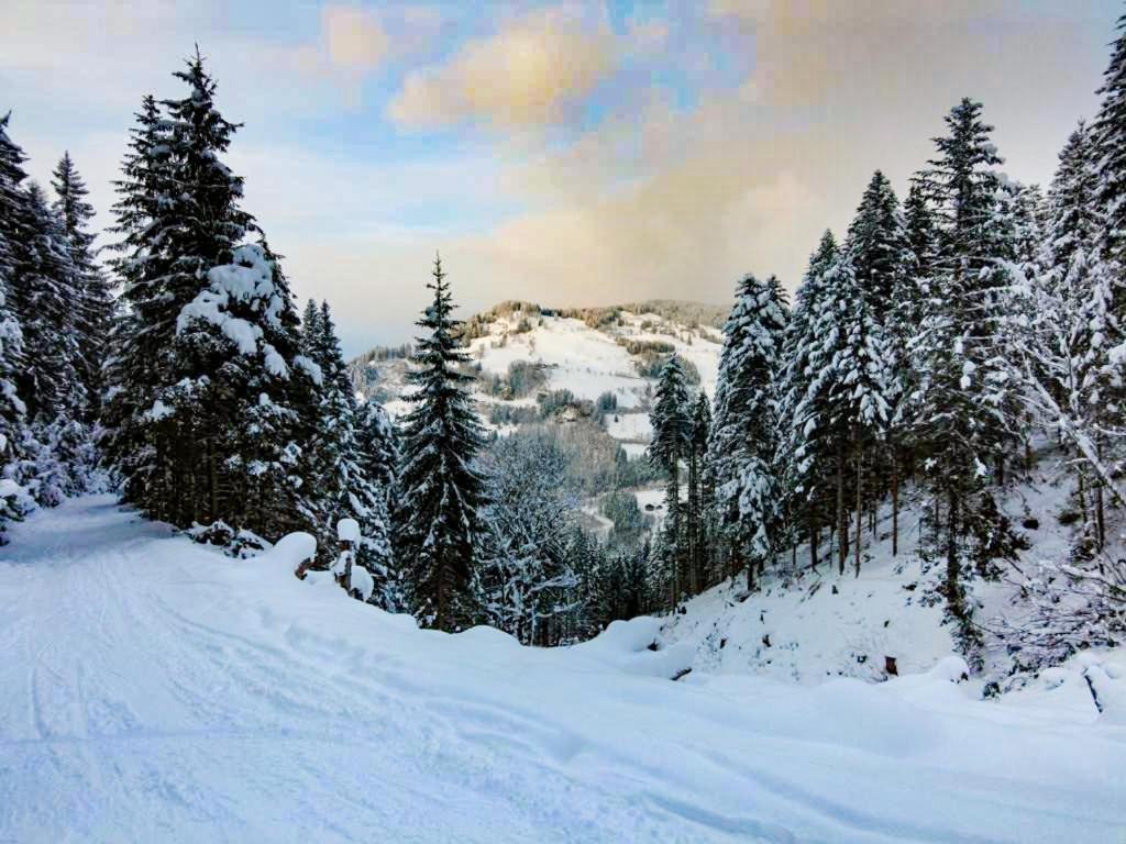 Hotel - Pension Oetzmooshof Санкт-Йохан Экстерьер фото
